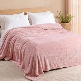 Exclusivo Mezcla Fuzzy Plush Fleece Bed Blanket Queen, Bundle of 2