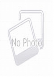 Handheld Infared Thermometer (Each)