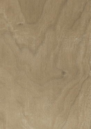 Matt 20x60cm Dayton Classic Ceramic Wall Tile #29304 (Each)