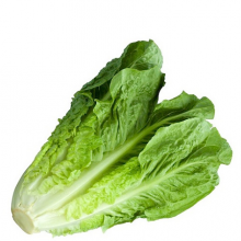 LETTUCE ROMAINE LOCAL vwt Approx. 0.4 Kg bag
