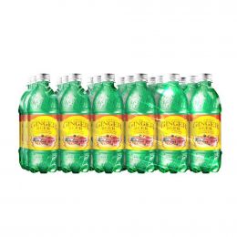 D&G Old Jamaican Ginger Beer 24 Units / 591.4 mL / 20 oz