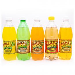 Bigga Assorted Sodas 24 Units / 600 mL / 20 oz
