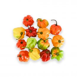 Hot Pepper 500 g / 1.1 lb