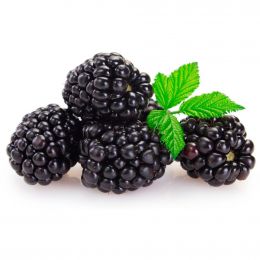 Blackberries 340 g / 12 oz