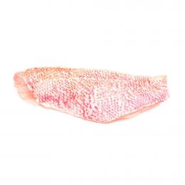 Rainforest Frozen Red Snapper Fillet, Bag  908 g / 2 lb