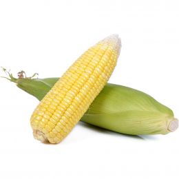 Corn 4 Units