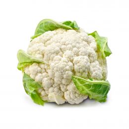 Cauliflower Head Unit