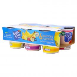 This Is Really Great Yogurt Assortment 6 Units / 170 g / 6 oz