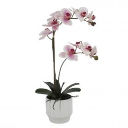 Selection Artificial Orchid in Ceramic Pot