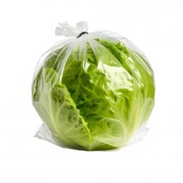 Iceberg Lettuce 700 g / 1.5 lb