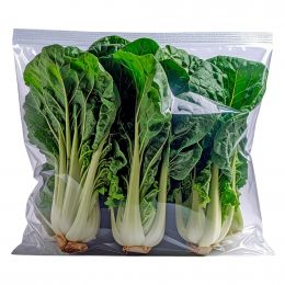 Fresh Pak Choy