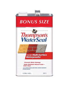 Thompson&#039;s WaterSeal Clear Water-Based Multi-Surface Waterproofer 1.2 gal