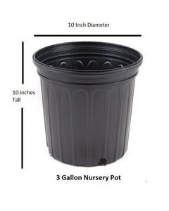GARDEN. FLOWER POT 10&quot;