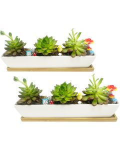 WISH HALLY WOOD White Ceramic Succulent Planter Pots Ceramic 11inch, Bundle of 2