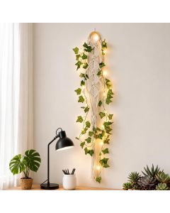 ZYApril Macrame Wall Plant Hanger, Bundle of 2
