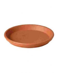 6 in. Saucer (Each)