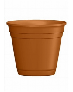 6 in. Planter (Each)