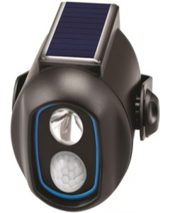 Solar Light (Each)