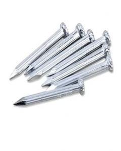 2 in. Galvanized Concrete Nail (EA)