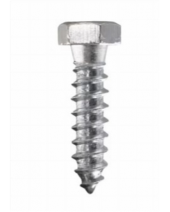 1/4 in. X 1 in. Lag Screw 1 pc. (Each)