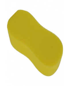 Cleaning Sponge R02370 (Each)