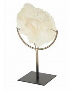 7 in. X 12 Decor (Each)