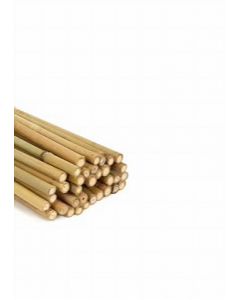 4 ft. Bamboo Stake (Each)