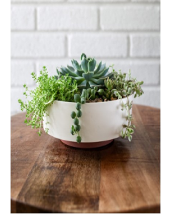 Vanilla Bisque Capri Bowl (Each)