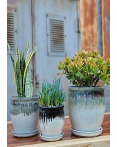 10 in. X 9 in. Mocha Planter With Attached Saucer (Each)