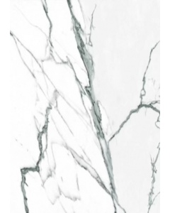 63 cm. Floor Tile PSI63590R (Each)
