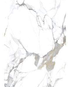 White 24 in. X 24 in. High Gloss Porcelain Floor Tile (Each)