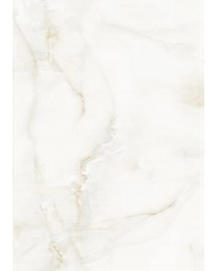 Bone 60 cm. X 120 cm. Porcelain (Each)