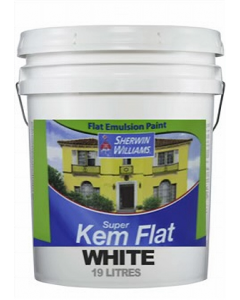 PAINT 19L WHITE K-FLT (Each)