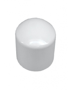 4 in. PVC Scehdule 40 SXS Cap (Each)