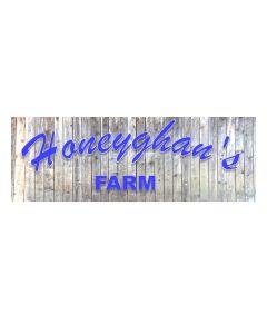 HONEYGHANS EGGS GRADE A LARGE 12s