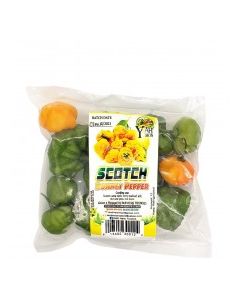 D&amp;D SCOTCH BONNET PEPPER pk