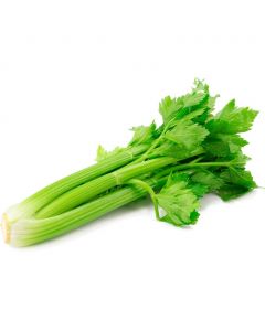 Fresh Celery