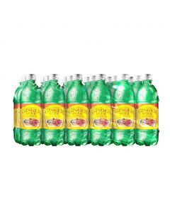 D&amp;G Old Jamaican Ginger Beer 24 Units / 591.4 mL / 20 oz