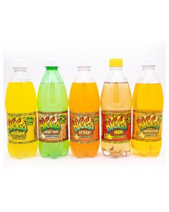 Bigga Assorted Sodas 24 Units / 600 mL / 20 oz