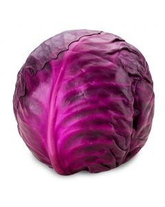 Red Cabbage Unit