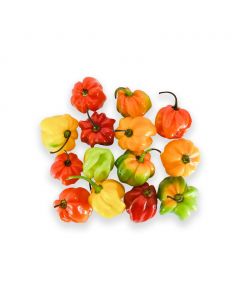 Hot Pepper 500 g / 1.1 lb
