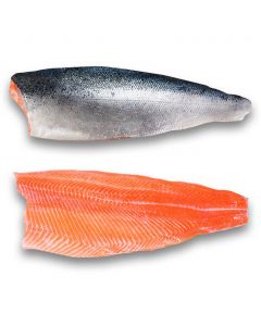 Selection Frozen Skin On Boneless Salmon Fillet Vacuum Packed