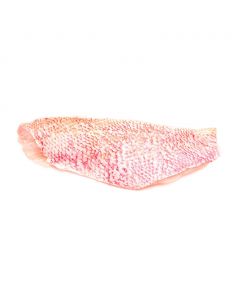 Rainforest Frozen Red Snapper Fillet, Bag  908 g / 2 lb