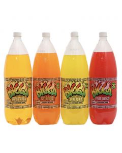 Bigga Assorted Sodas 4 Units / 2 L