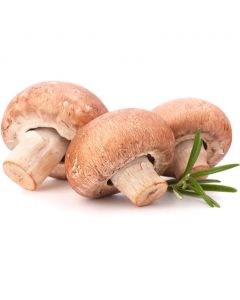 Portobellas Mushroom 454 g / 1 lb
