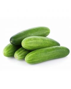 Cucumber 1.5 kg / 3.3 lb