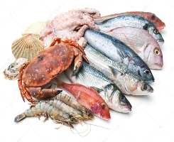 Seafood and Fish